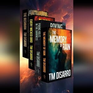 Poetry Books By TM DiSarro (4)